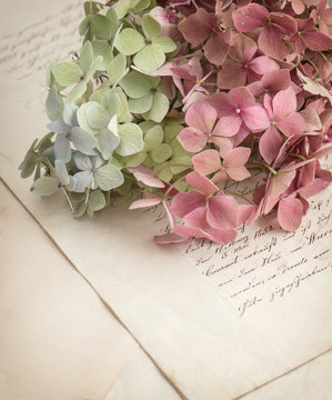 old love letters and garden flowers
