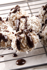 chocolate praline with grated coconut