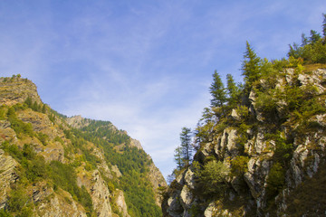 Fototapeta premium paesaggio montano