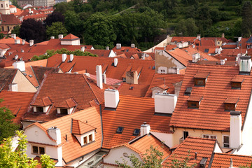 Fototapeta na wymiar View of roofs