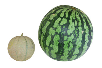 Cantaloupe and watermelon