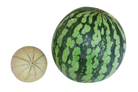 Cantaloupe and watermelon
