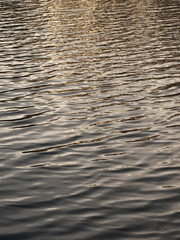 Lake surface
