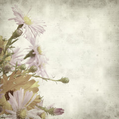 Obraz premium textured old paper background