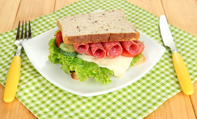 Tasty sandwich with salami sausage and vegetables