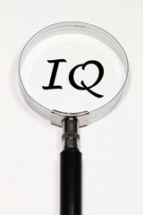 Intelligenzquotient