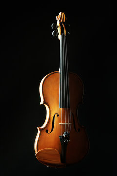 Violin musical instruments