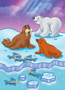 Arctic Ocean wild animals
