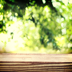 Aged wooden boards with a  foliage backdrop