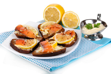 Salmon sandwiches on plate  isolated on white