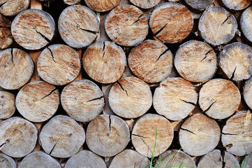 Wall made of stacked wood. Background