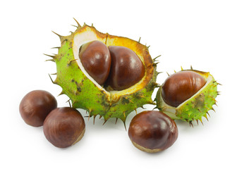 chestnuts