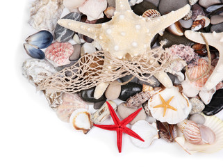 Close up of sea stones and shells