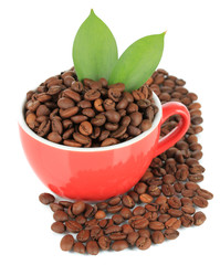 Coffee beans in cup isolated on white