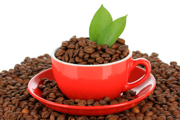 Coffee beans in cup on white background