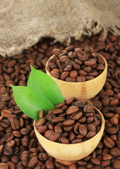 Coffee beans in bowls isolated on white