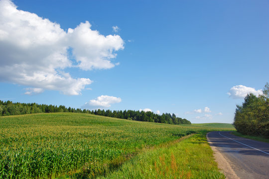 Summer landscape with road and blue sky