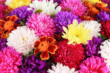 Beautiful bouquet of chrysanthemums close-up - obrazy, fototapety, plakaty
