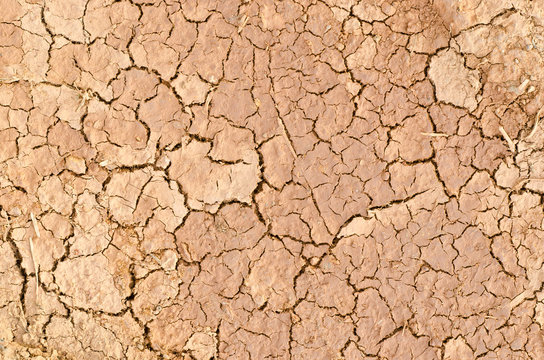 Closeup to dry crack ground for background user