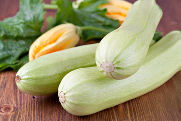 fresh vegetable zucchini