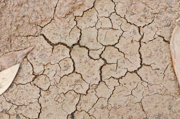 Dry crack ground closeup