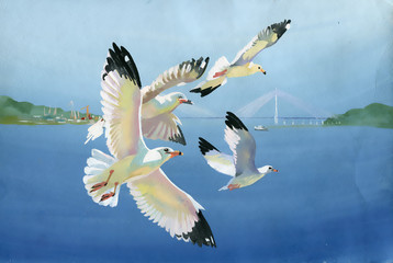 Watercolor seagulls