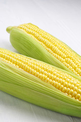 Two corn cob closeup