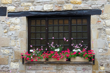 Fototapeta na wymiar French window with plants in containers