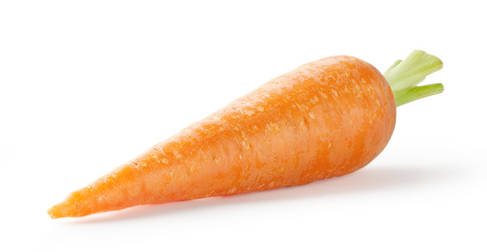Ripe sweet carrot