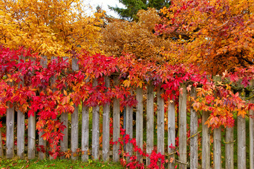 Herbstgarten
