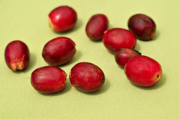 Raw coffee beans
