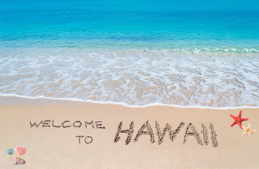 welcome to Hawaii
