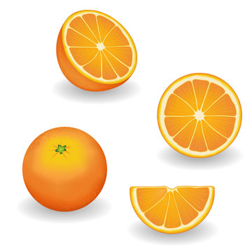 Oranges: whole, half, slice, wedge. Fresh, natural, organic food
