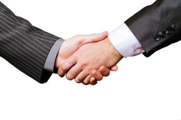 Business handshake and business people