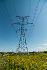 Elecrical Pylon