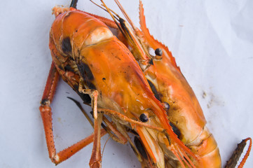 grill shrimp ready to eat