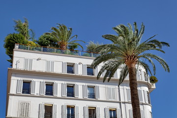 Immeuble blanc avec terrasse et palmiers