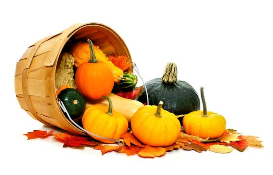 Autumn vegetables spilling from a harvest pail