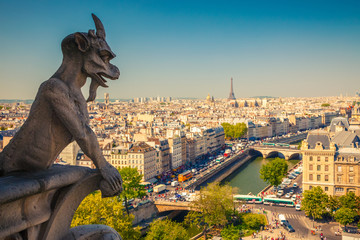 Gargoyle on Notre Dame Cathedral - obrazy, fototapety, plakaty
