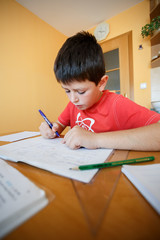 boy doing school homework