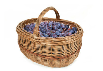 Fototapeta na wymiar ripe plums in basket