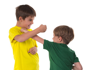 brtothers fight