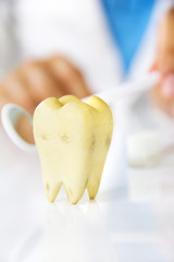 dentist holding dental Mirror, dental hygiene concept
