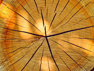 wooden background