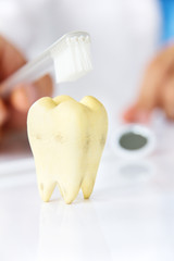 dentist holding brushing teeth , dental hygiene concept