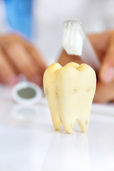 molar with dentist background, dental hygiene concept