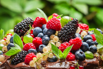 Fresh wild berry fruits