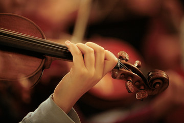 Violin