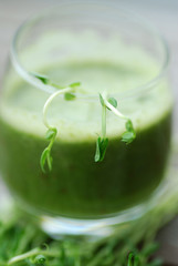 green smothie with focus on pea shoots
