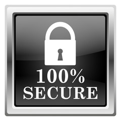 100 percent secure icon